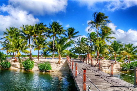 DART Development Update